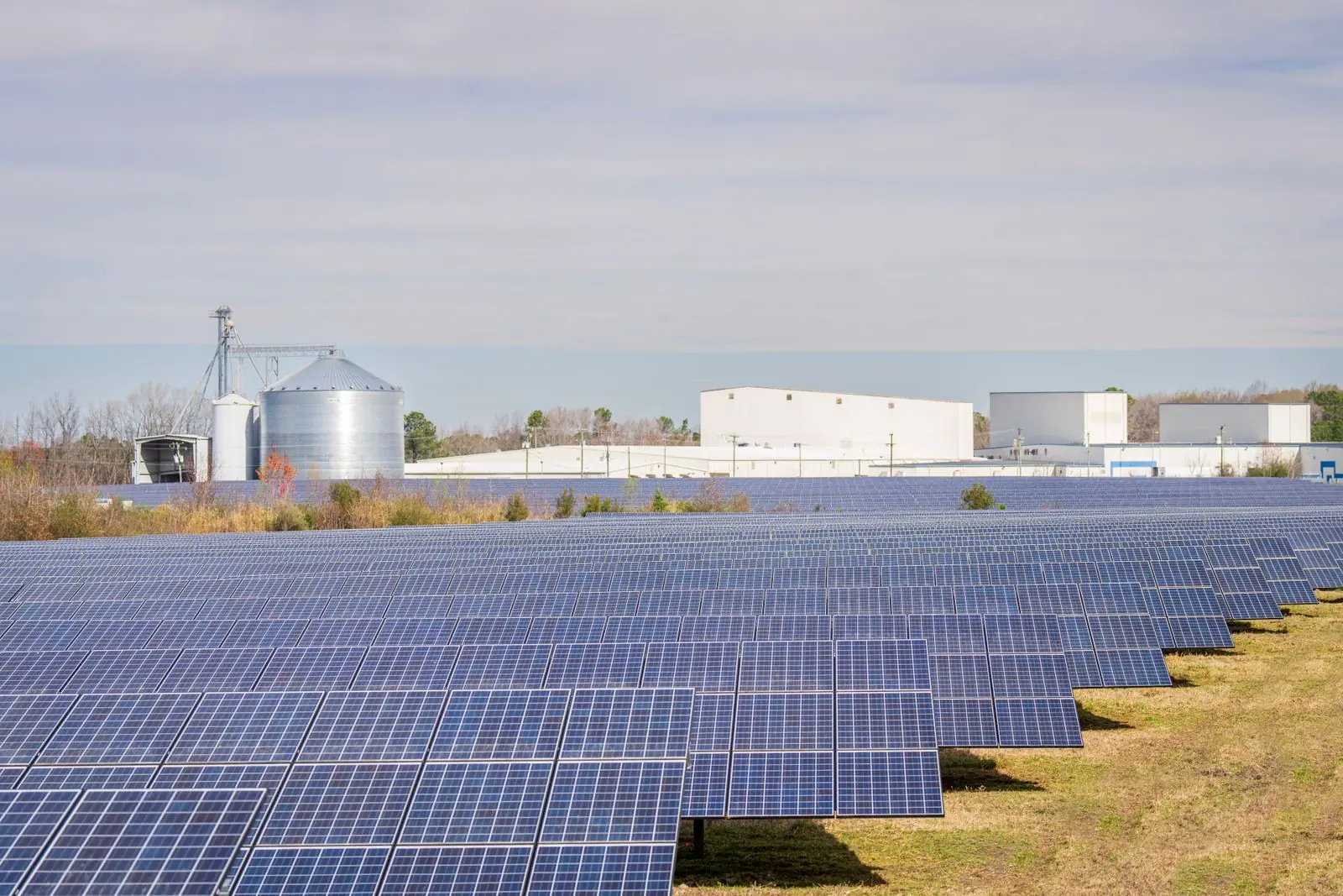 solar plant on a farm